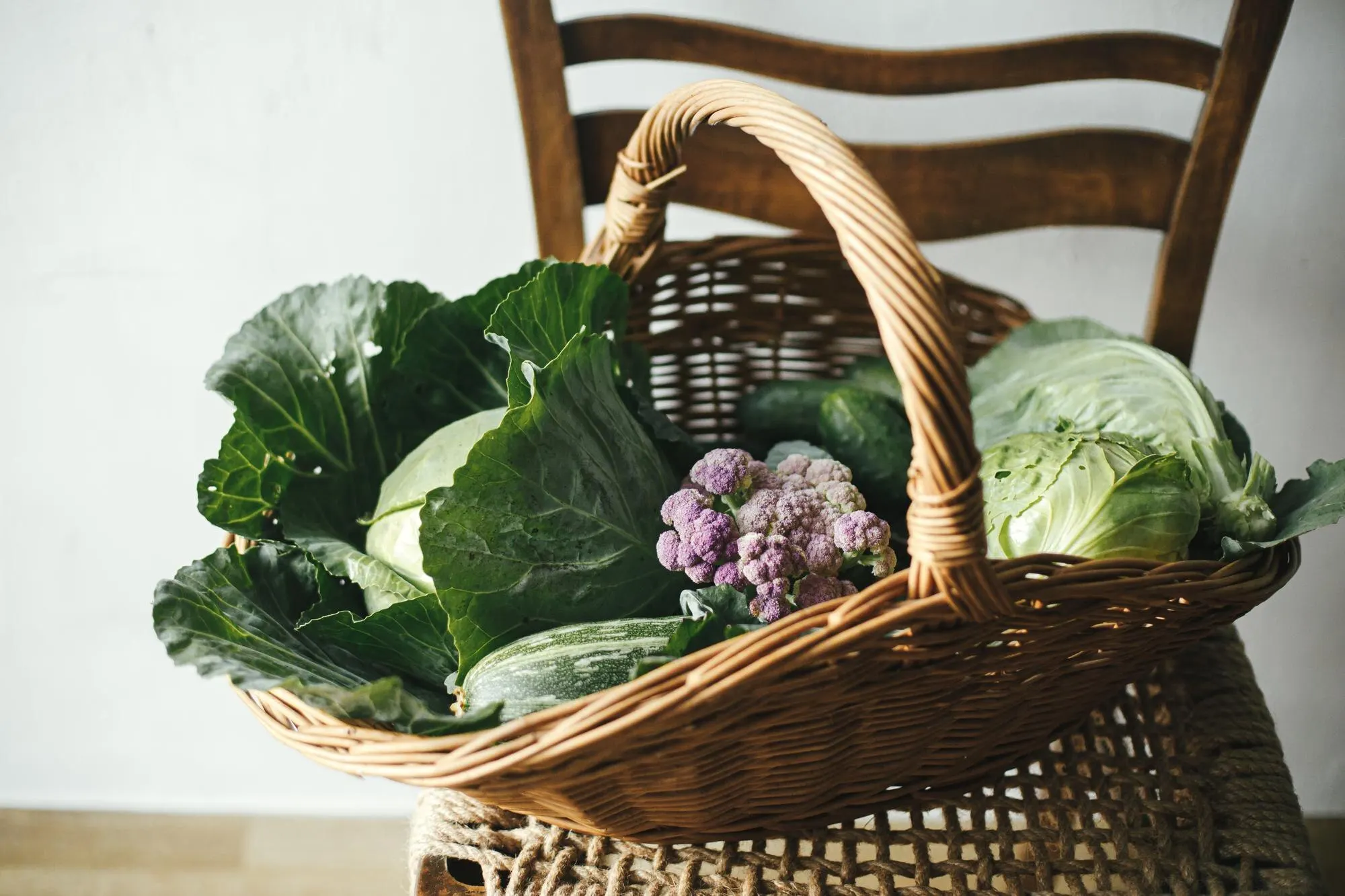 FarmFresh Organics — Grocery store website design preview