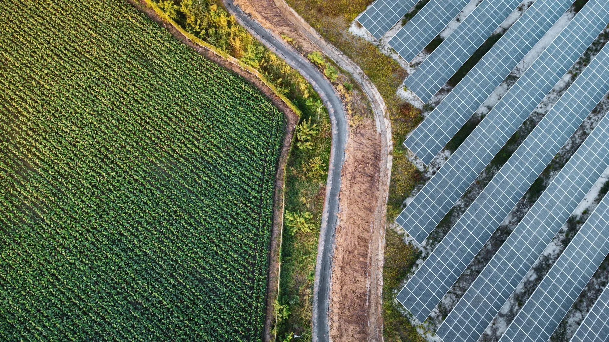 GreenVolt Energy — Solar company website design preview