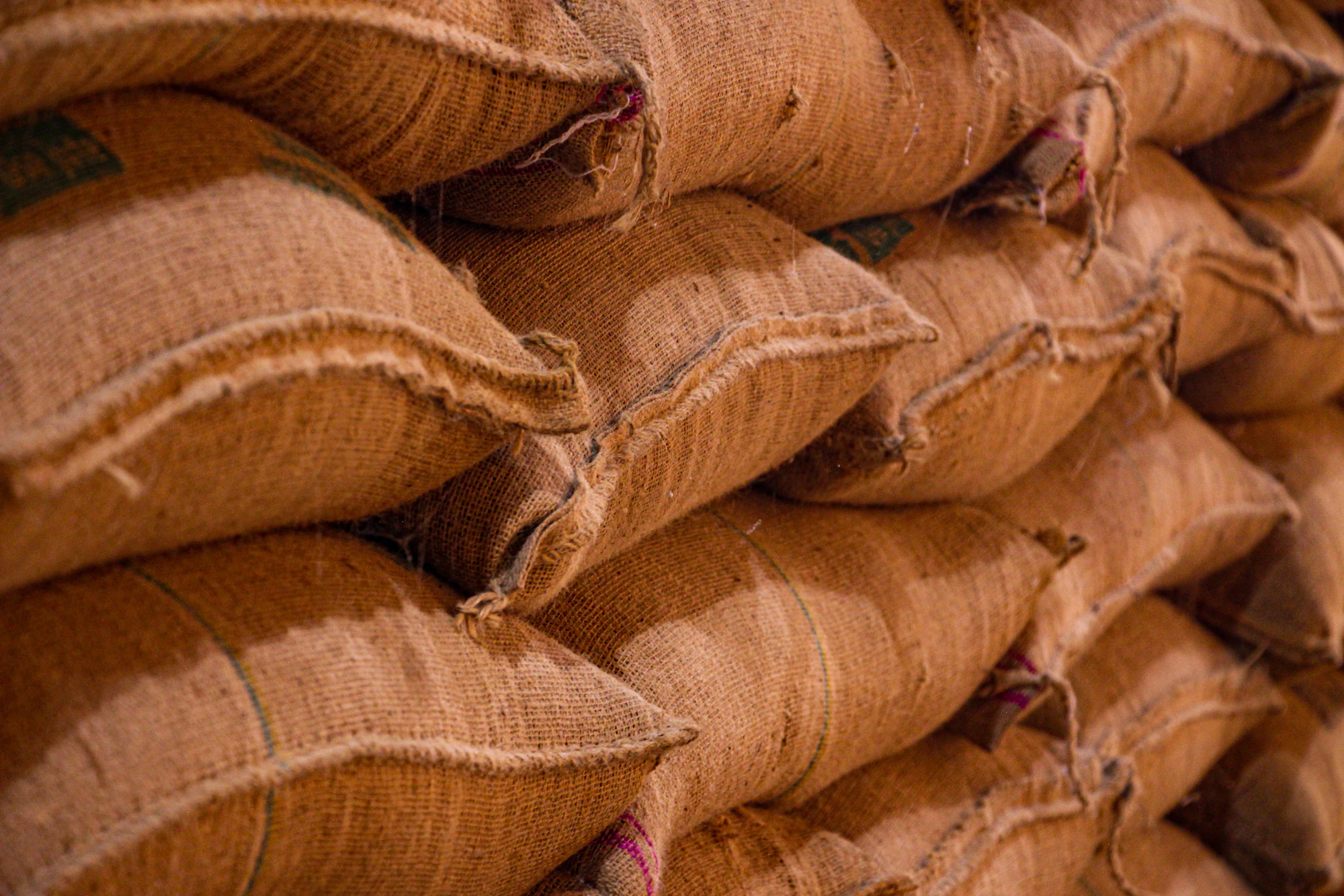 Kisan Kart Foods — Agri company website design preview