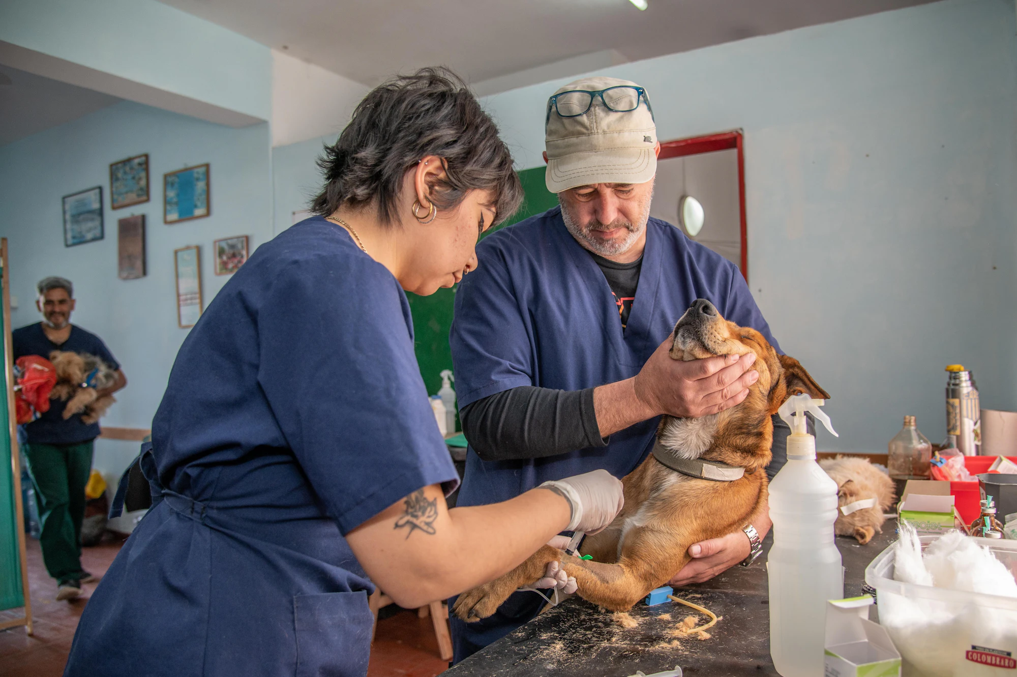 Pawsome Pet Clinic — Pet clinic website design preview
