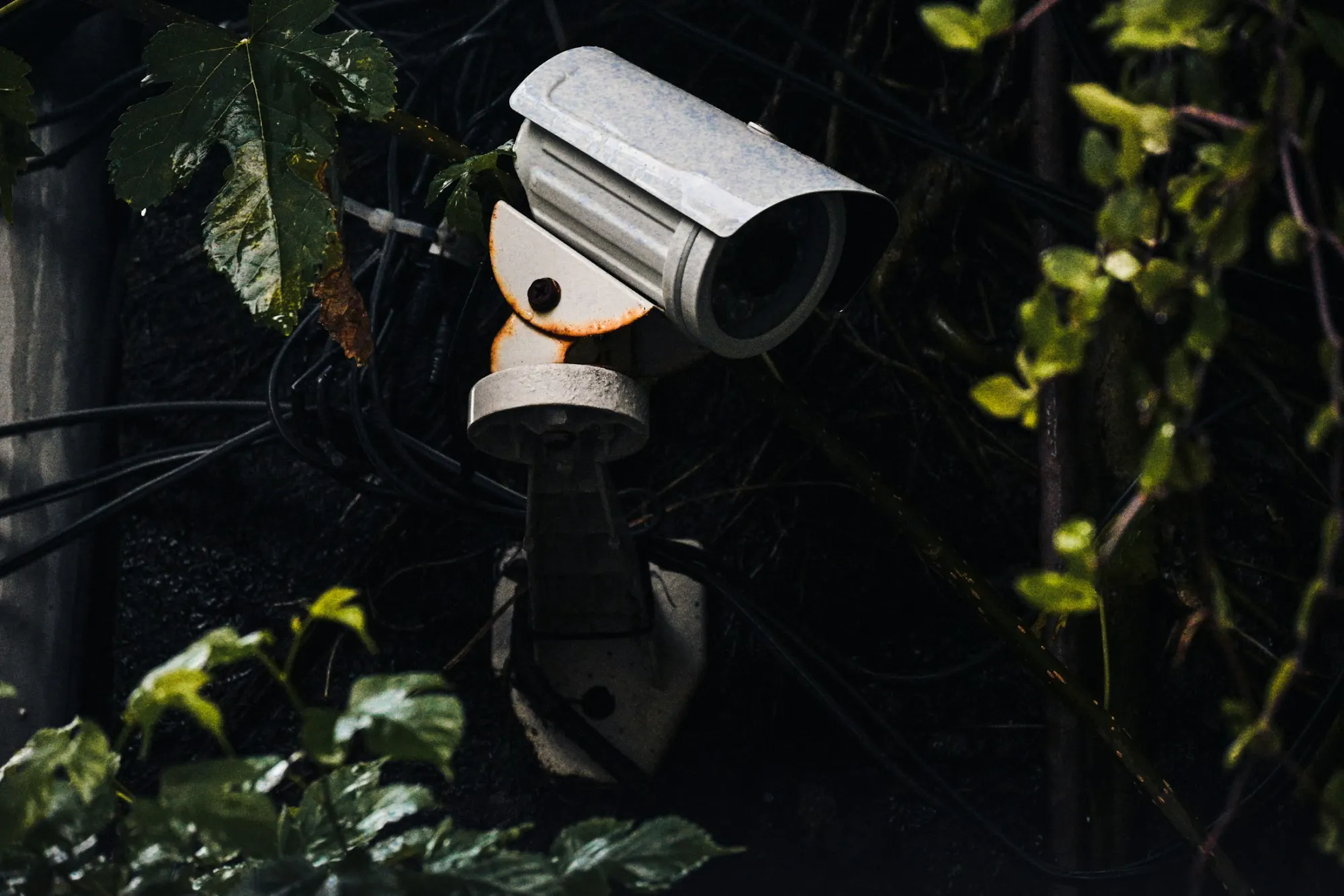 Shield Force Security — Security company website design preview