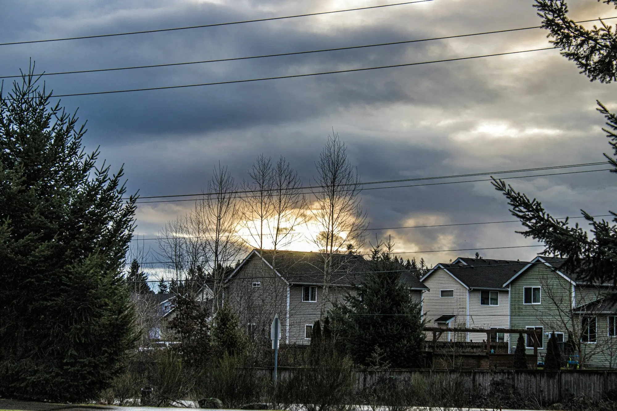 Stormline Roofing & Restoration roofing company website preview