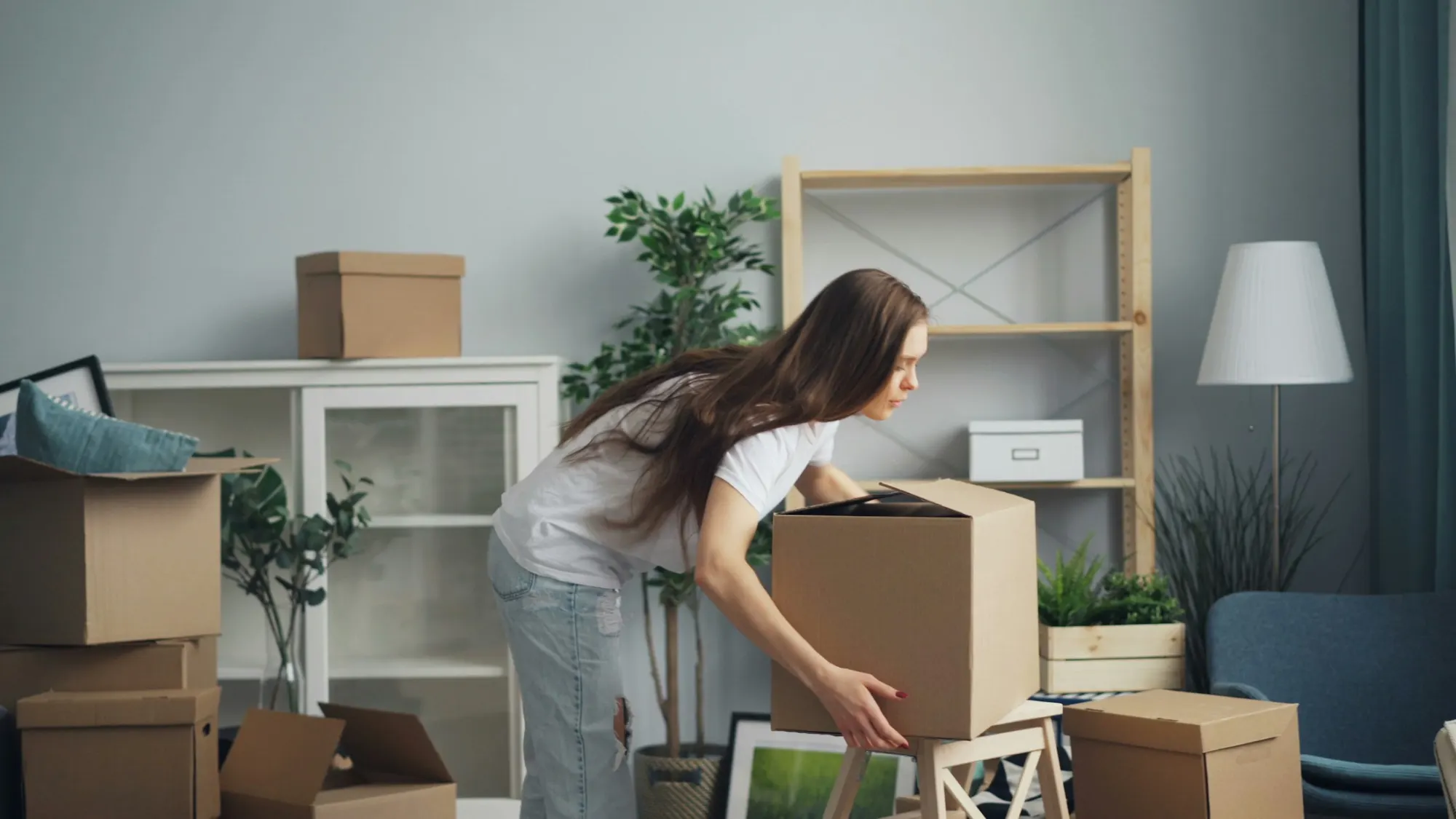 Verhuis & Co — Moving company website design preview