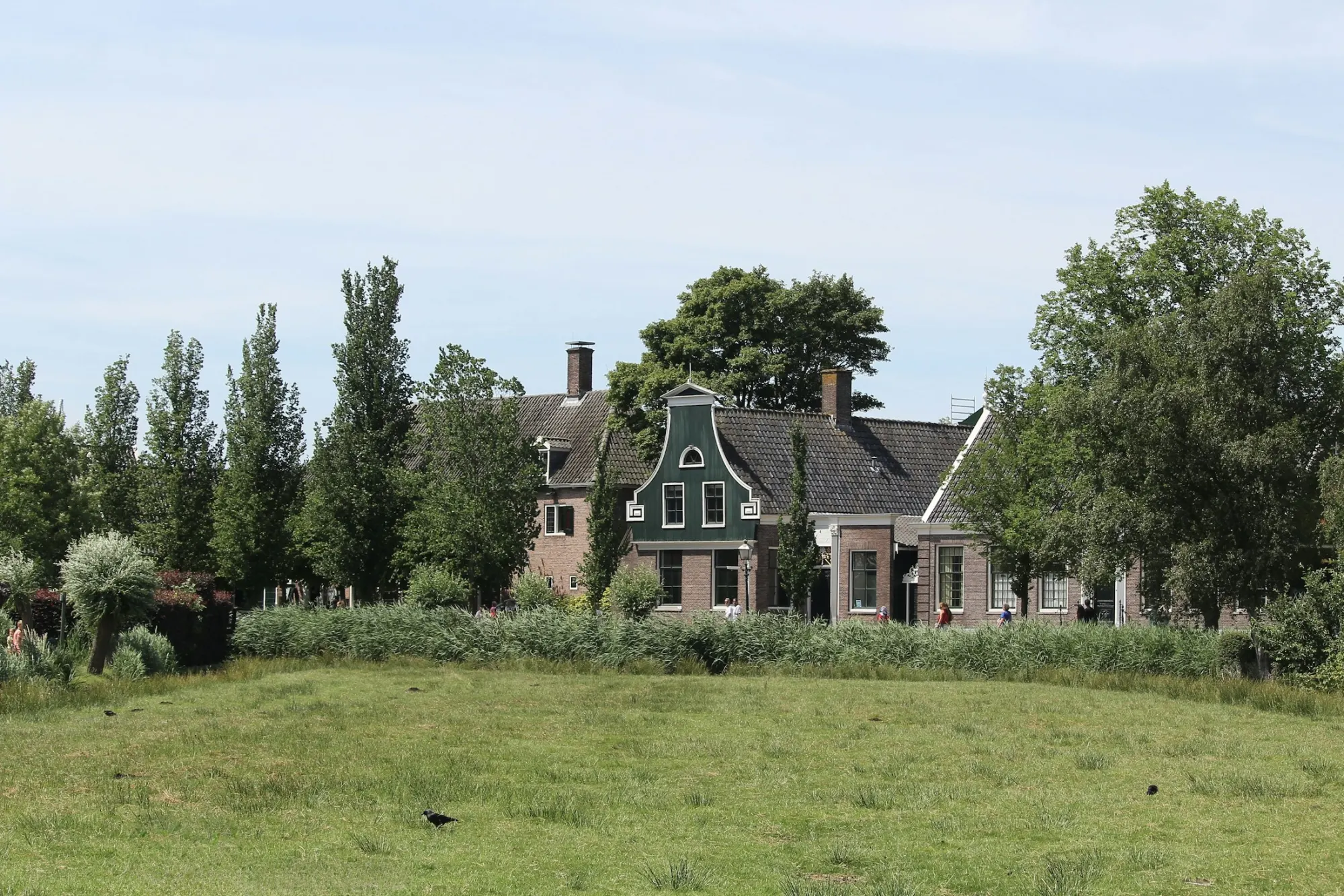 Landgoed De Wildhoeve — Event venue website design preview